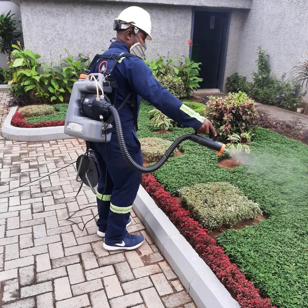 Building pest protection